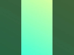 100% 綿 ストライプ ニット 柔らかい 多色 シャツ