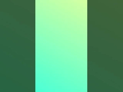 メルセライズされた綿 ストライプ編み 柔らかい95 綿 5 スパンデックス 175cm 幅