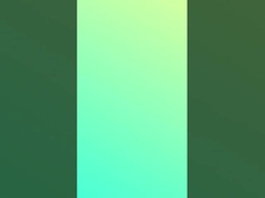 ホットシェル ストライプ素材 純綿 制服 フレンズ Tシャツ