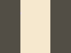 リクラ コットン ストライプ素材 織物 180cm ストレッチ キャンディング 輝く表面